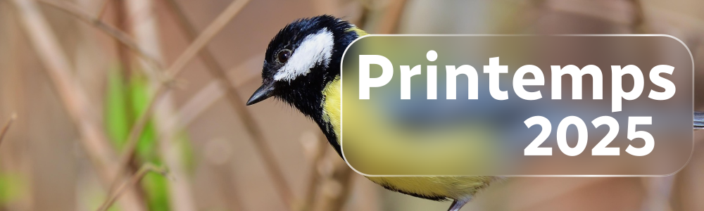 Saison culturelle - Printemps 2025 - partie 2